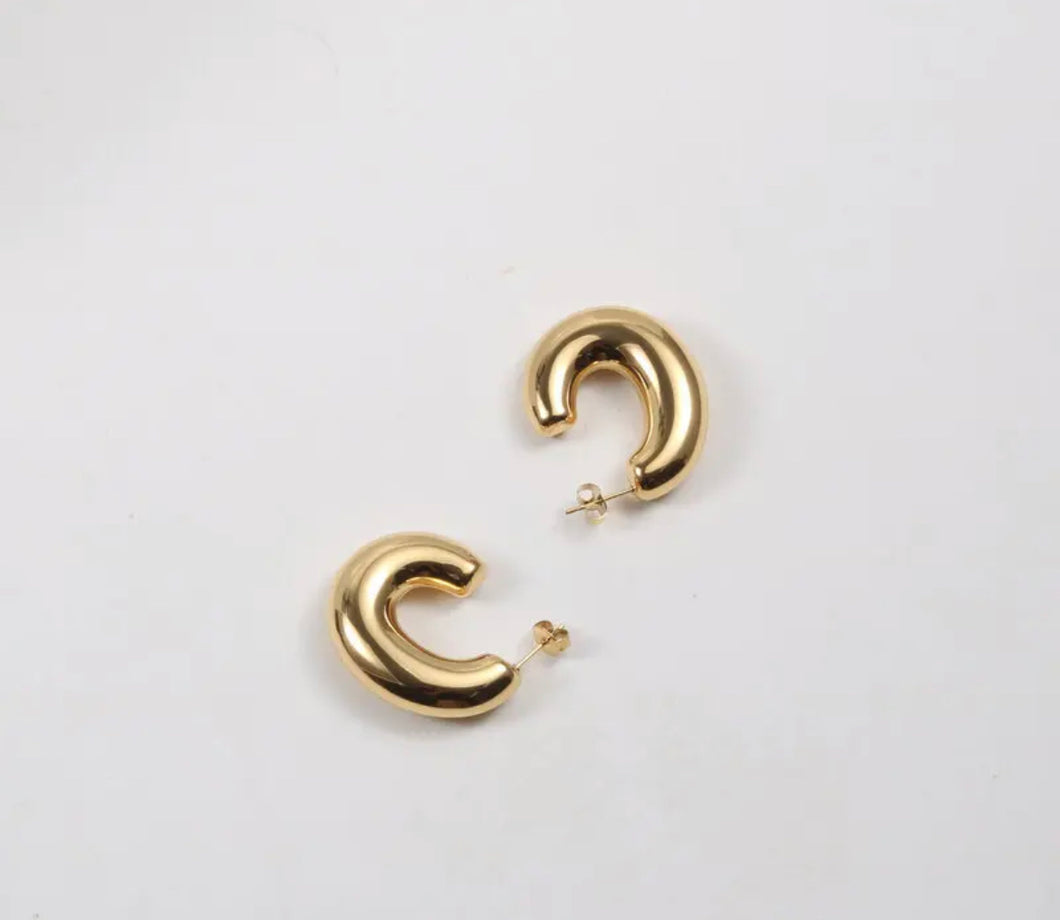 Jewelry: Chunky Hoop Earrings
